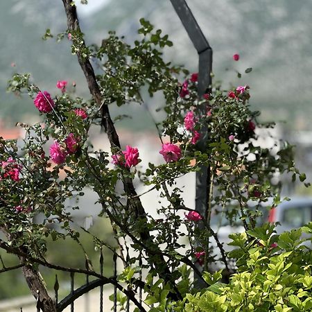 Ms Apartment Mostar Exterior foto